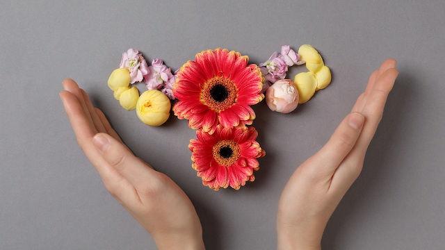 Representação criativa do útero feita com flores coloridas, simbolizando a menopausa e a saúde da mulher.