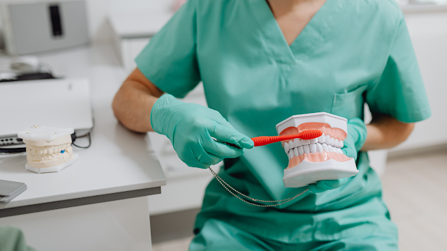 Dentista com um molde de um maxilar, e uma escova de dentes.