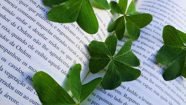 A Sorte entre Páginas: Onde a Natureza e a História se Cruzam Grande plano de vários trevos verdes (incluindo um trevo-de-quatro-folhas central) pousados sobre as páginas abertas de um livro com texto em português. A iluminação é natural, destacando as texturas das folhas e do papel.