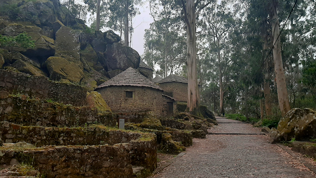 Ruínas circulares em pedra do Castro de São Lourenço, rodeadas por eucaliptos e rochas cobertas de musgo, em Esposende.