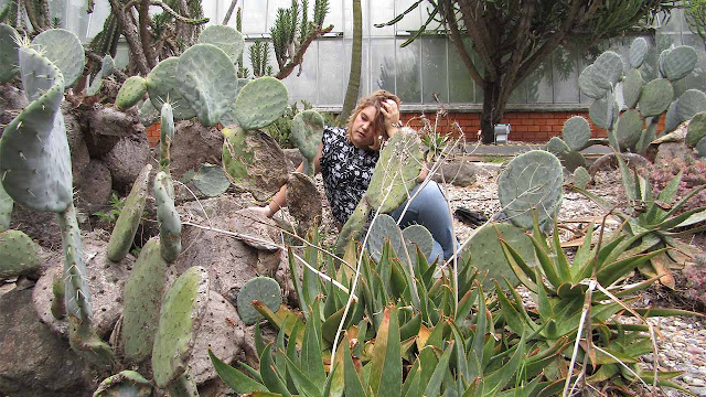 Mulher sentada num jardim de cactos, em momento de introspeção, simbolizando superação e novos recomeços.