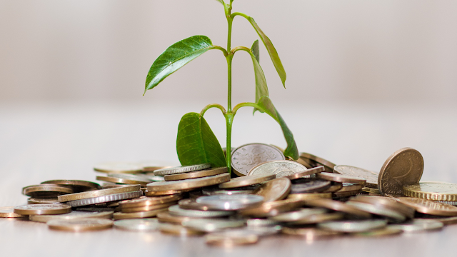 Crescimento financeiro e prosperidade em 2026 Pequena planta verde a crescer entre moedas, simbolizando o crescimento financeiro e o investimento sustentável em 2026.