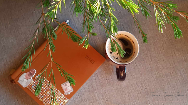 Vista superior de uma mesa de madeira clara onde repousa uma agenda de capa castanha-clara com o ano 2025 gravado. A agenda está decorada com autocolantes e uma faixa de brilhantes na base. Ao lado, encontra-se uma caneca preta com café cremoso. Ramos verdes de um pinheiro sobrepõem-se parcialmente à cena, vindos do topo da imagem.
