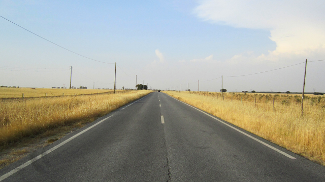 Estrada de alcatrão deserta, com espigas de trigo nas margens