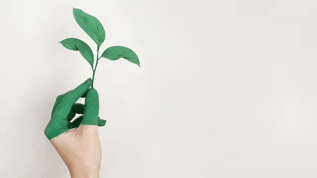 Fotografia de close-up em plano horizontal contra um fundo branco e liso. Do lado esquerdo, uma mão humana segura delicadamente um pequeno ramo com três folhas verdes. Os dedos e a parte superior da mão estão pintados com uma tinta verde vibrante, da mesma cor da planta, criando um efeito visual onde a pele parece se fundir com o vegetal. O restante da mão mantém o tom de pele natural. Há um amplo espaço vazio à direita.